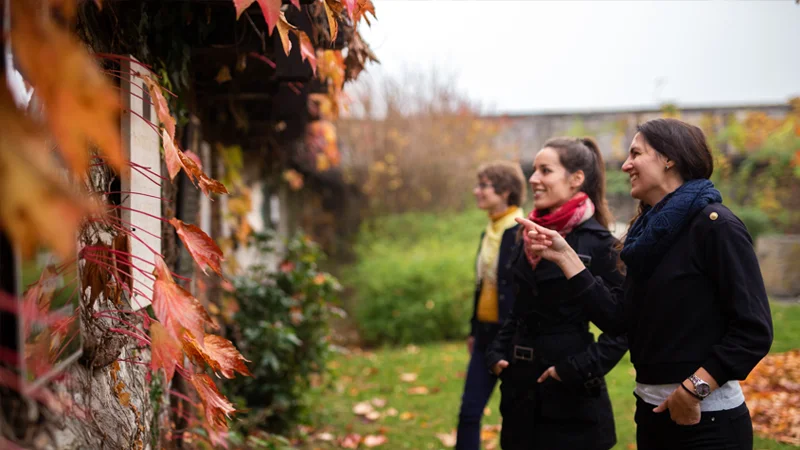 Interaktív élmények cégeknek